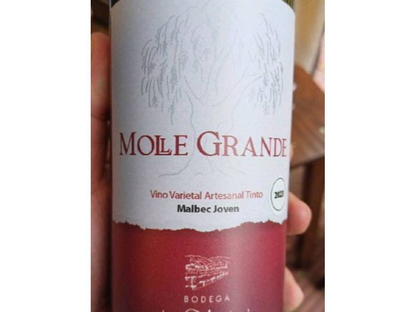 Molle Grande Malbec