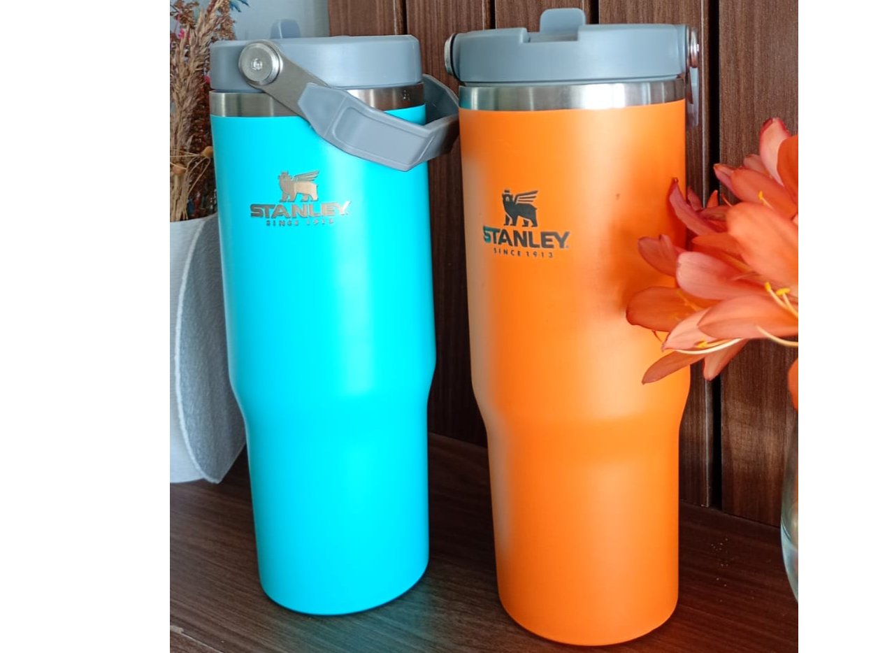 Vaso Térmico Grande