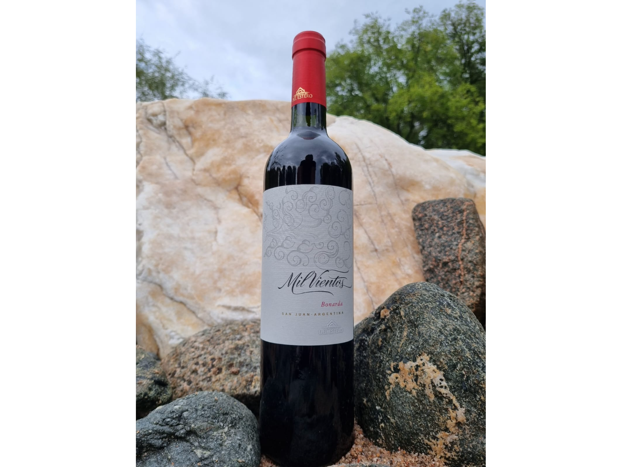 Mil Vientos Tannat