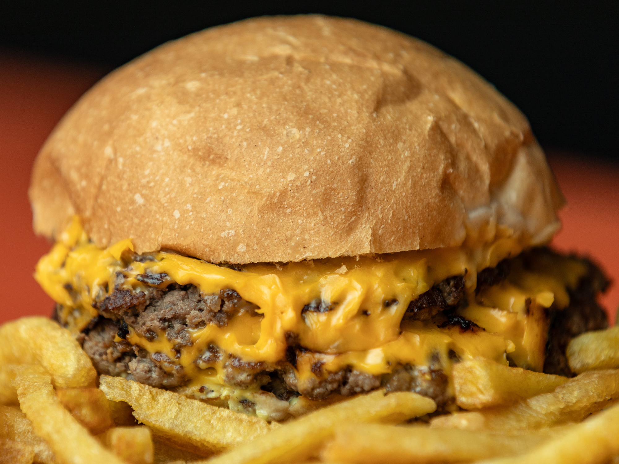 Turis (incluye papas fritas)