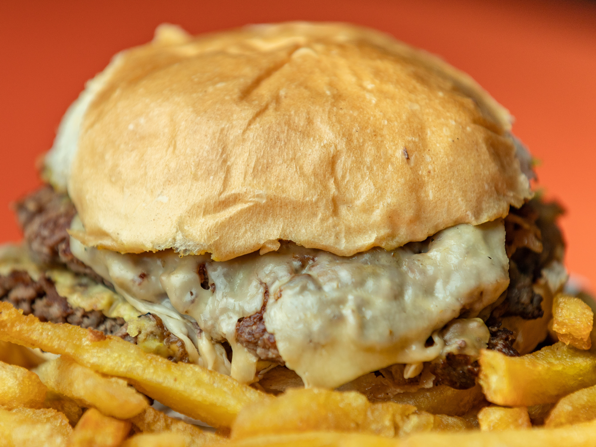 FUGA  (Incluye Papas fritas)