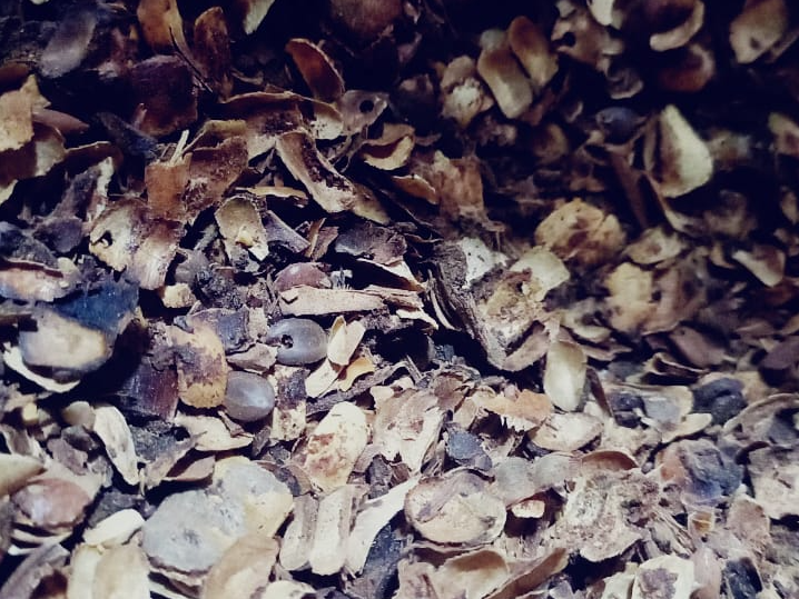 Cascarilla de algarroba