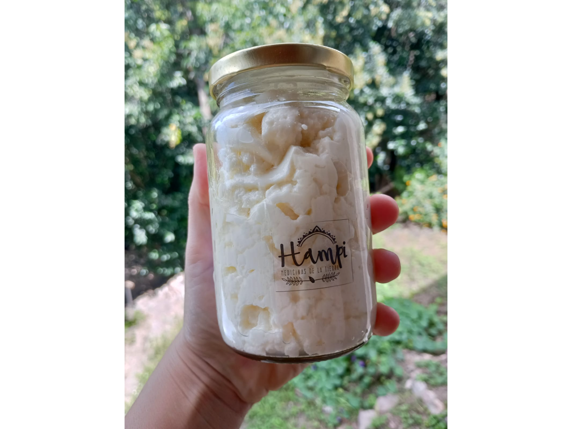 Veganesa (mayonesa de almendras)