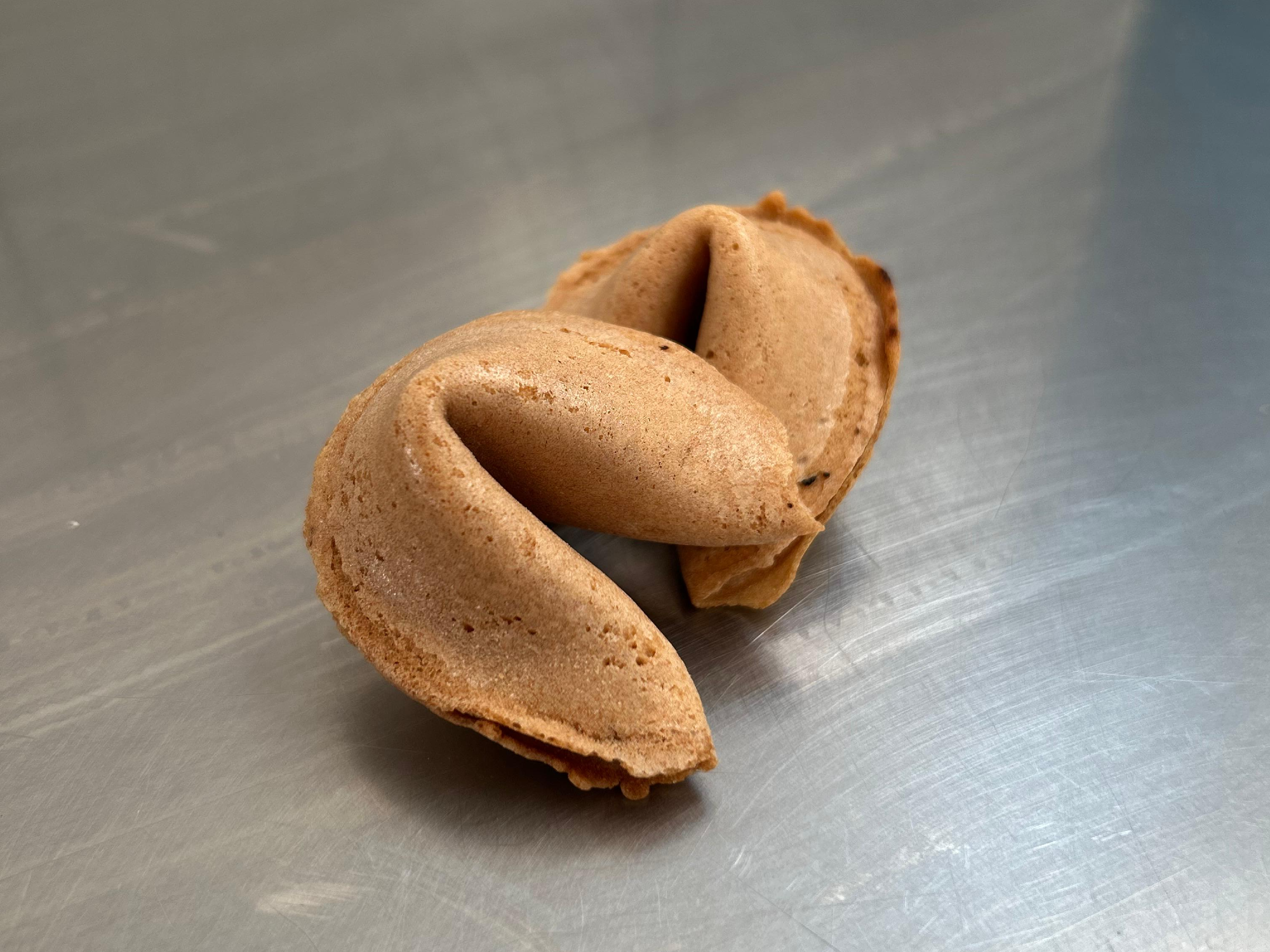 GALLETITA DE LA FORTUNA (EXTRA)