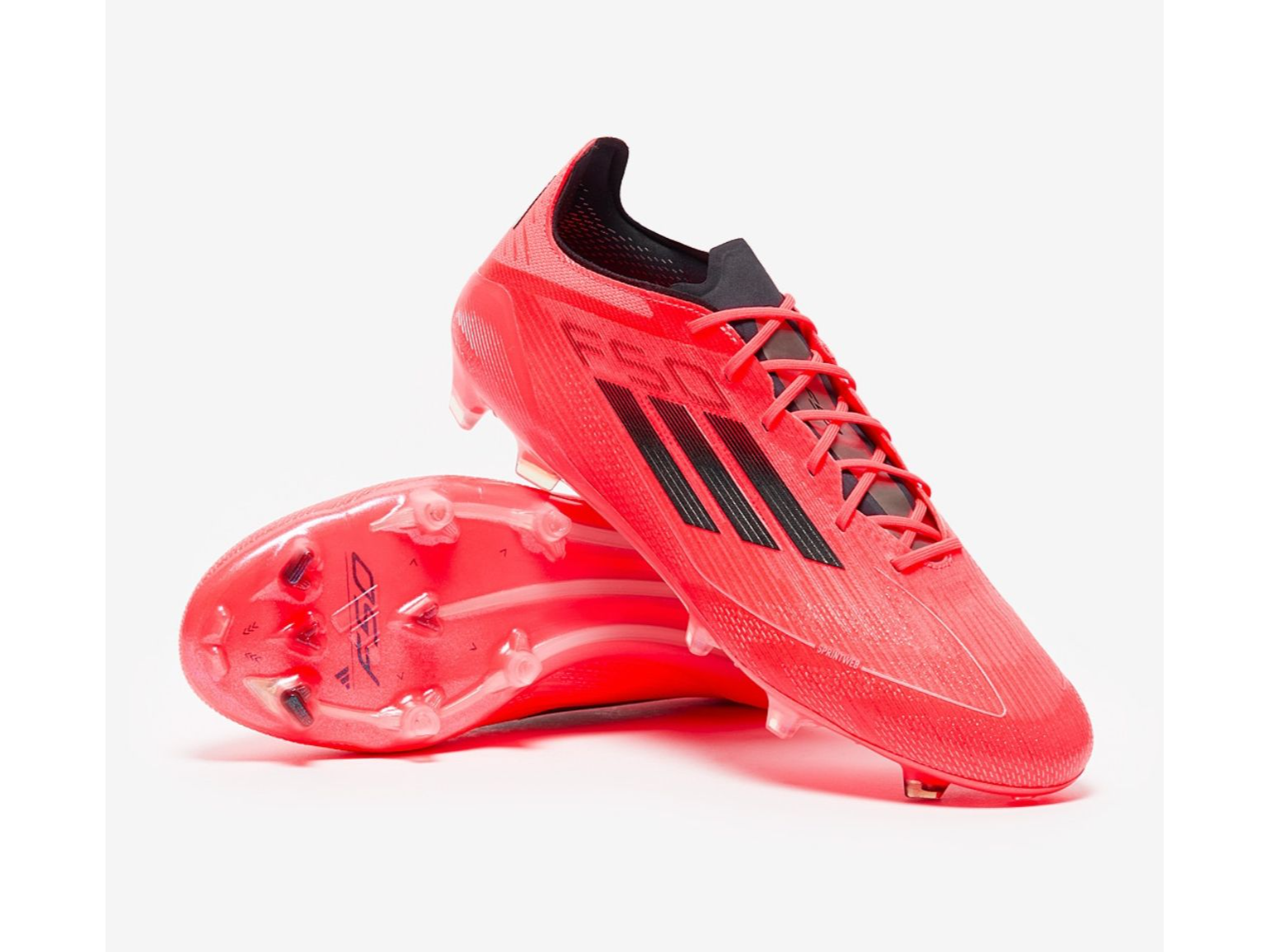 F50 VIVID HORIZON