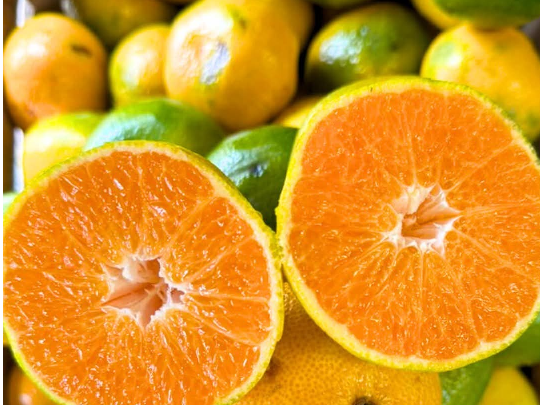 Naranja selección kg