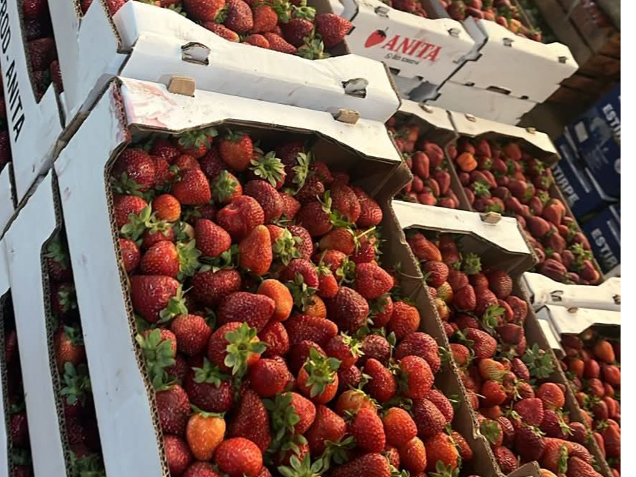 Frutillas x kg