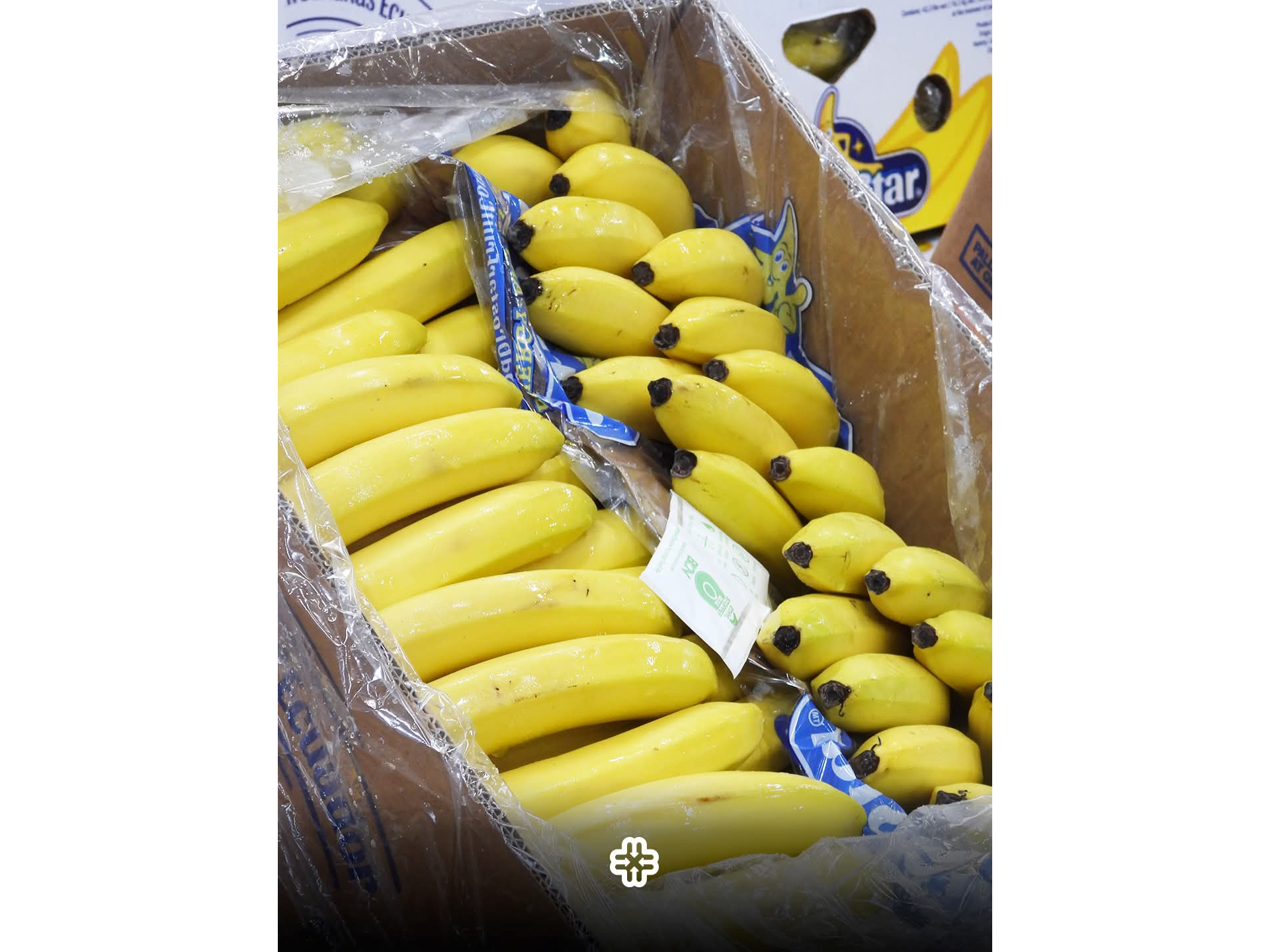 Banana oferta x kg