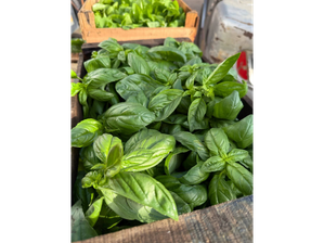 Albahaca fresca x unidad de Parador de frutas el pato