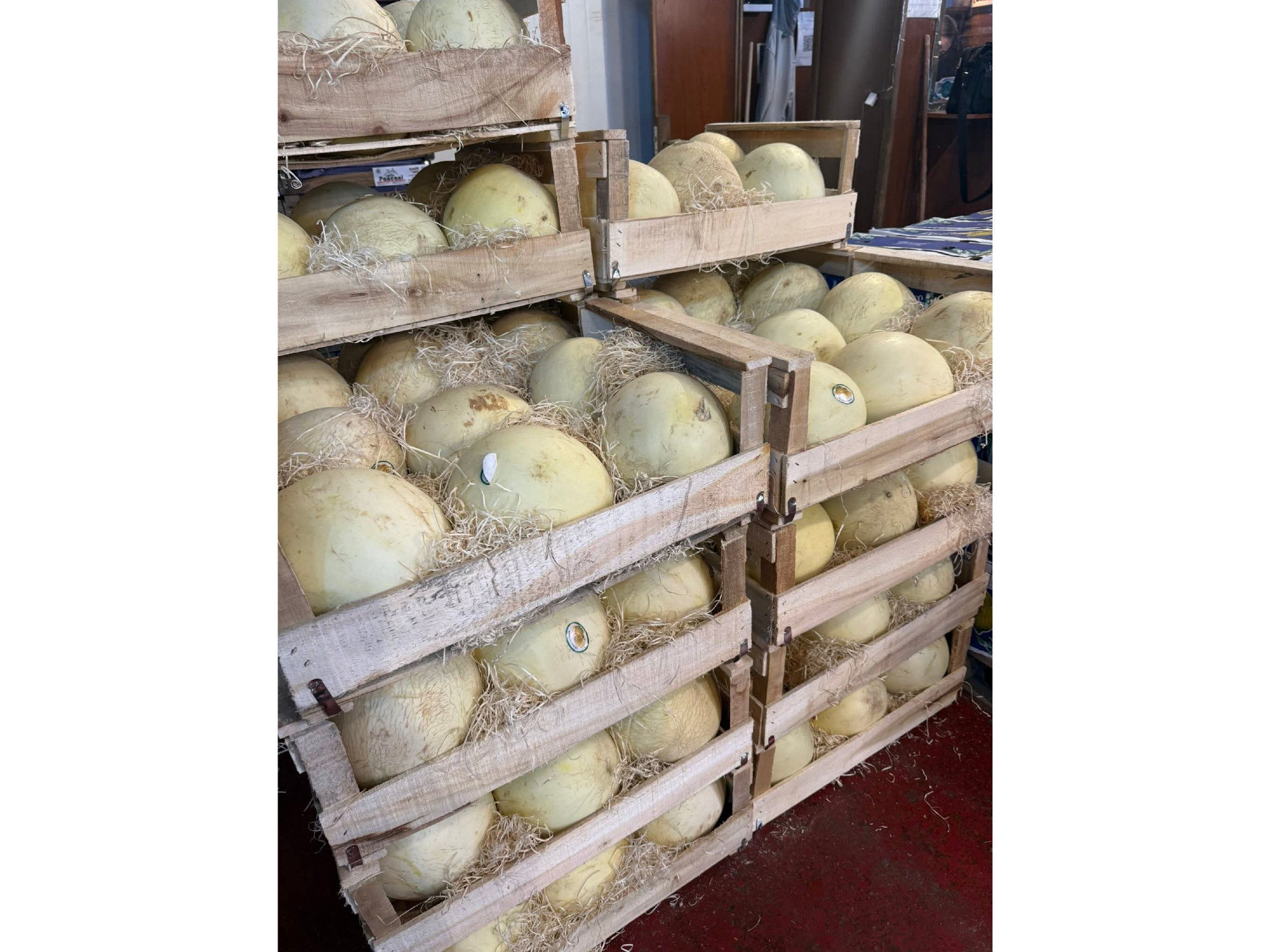 Melón blanco x un