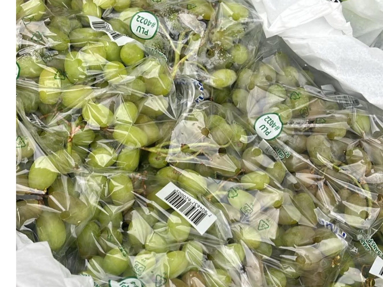 Uva blanca sin semilla x kg