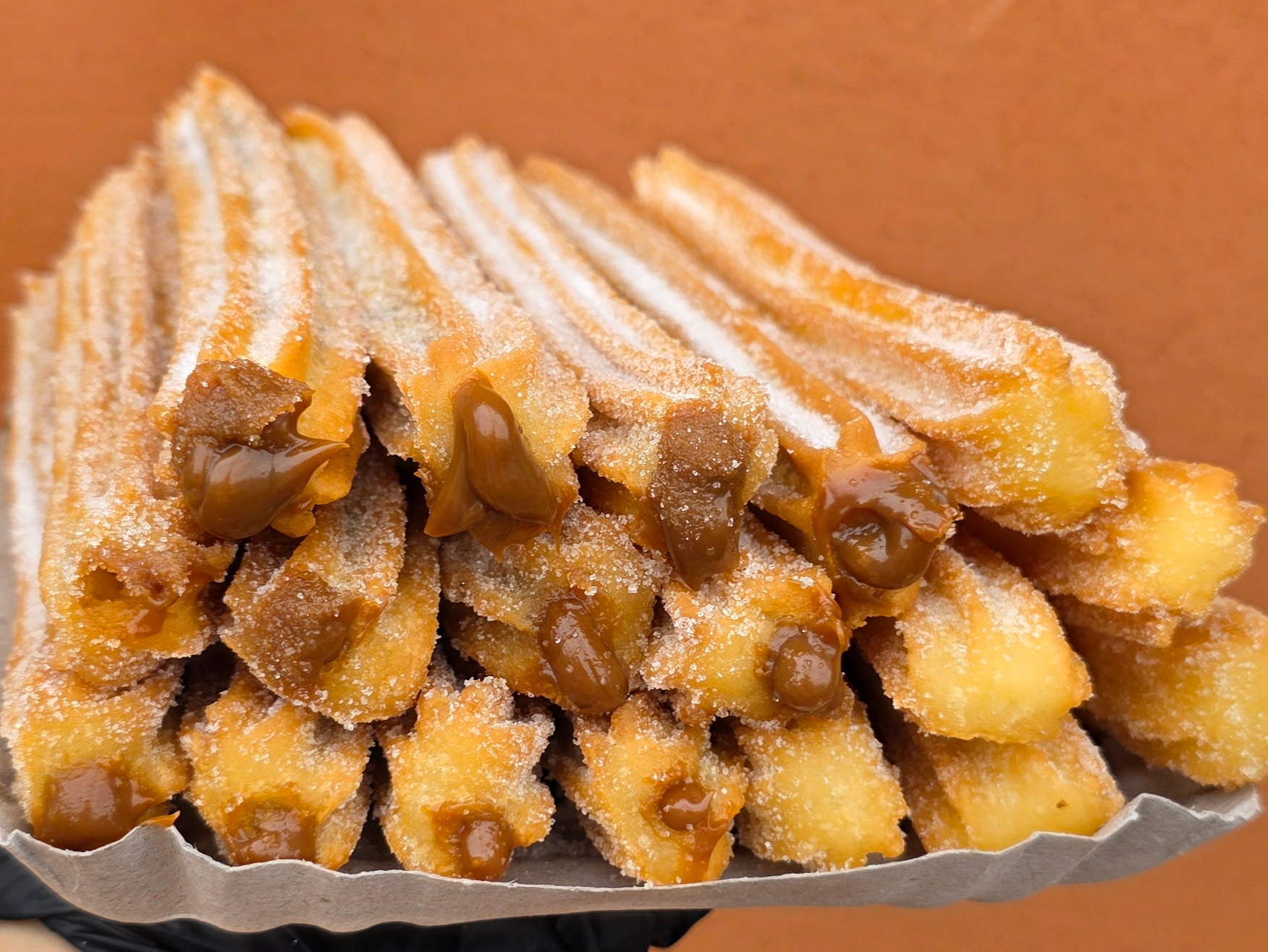 1 Docena de Rellenos + 1/2 Docena de Simples