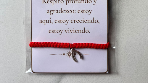 Pulseras Individuales