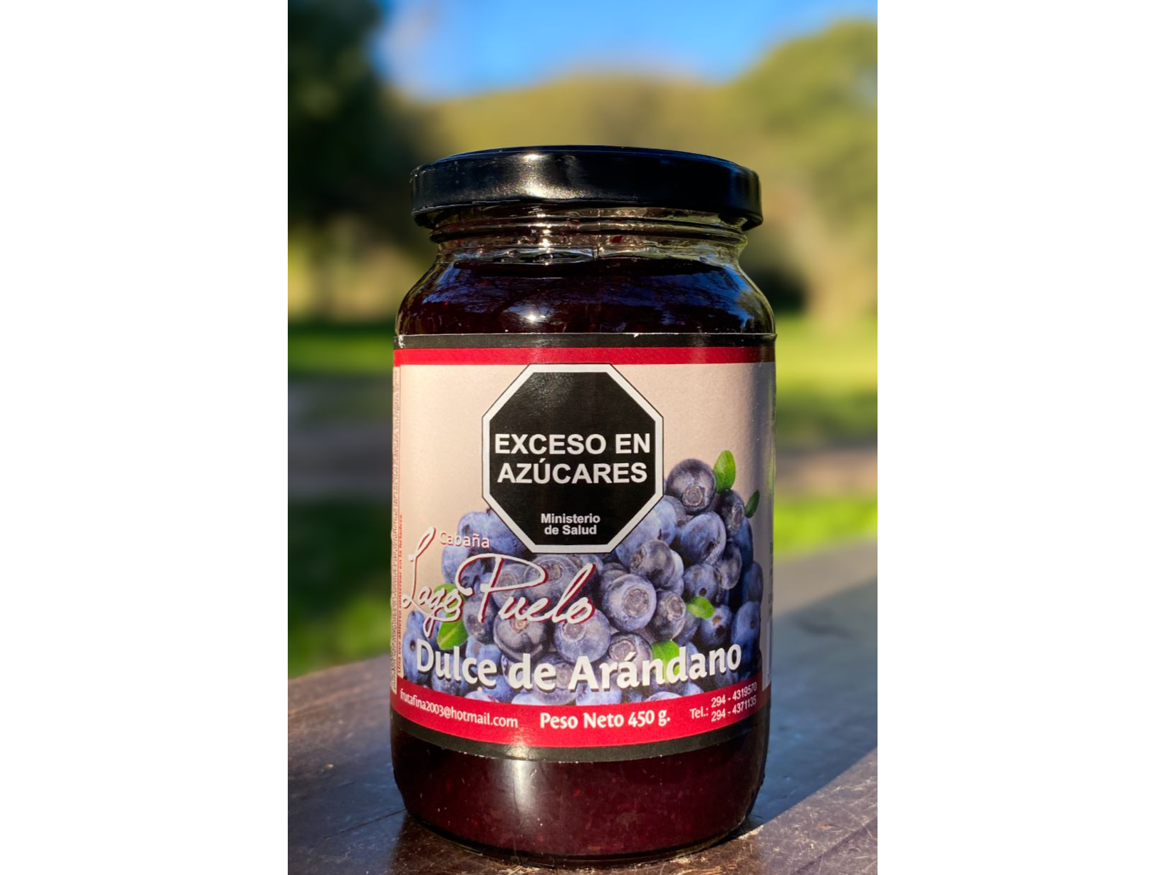 Dulce de arándanos x 450 grs Cabaña Lago Puelo