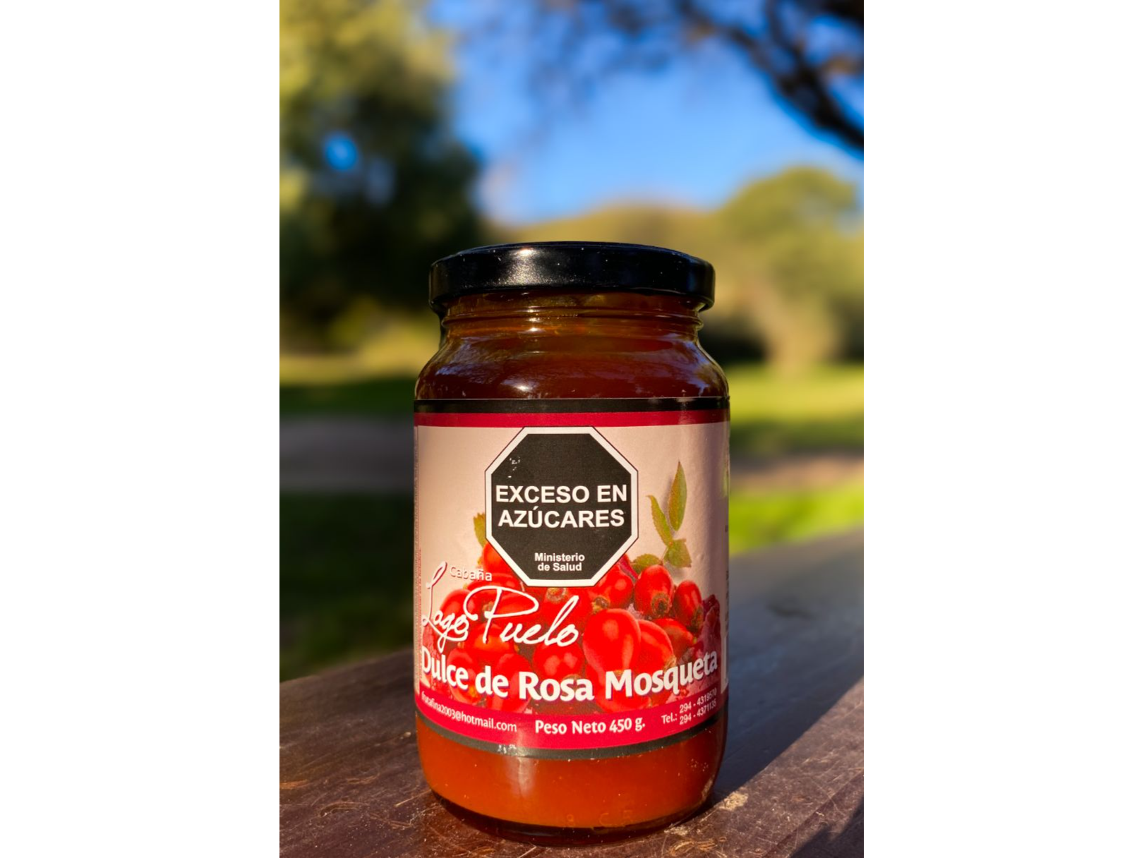 Dulce de rosa mosqueta x 450 grs Cabaña Lago Puelo