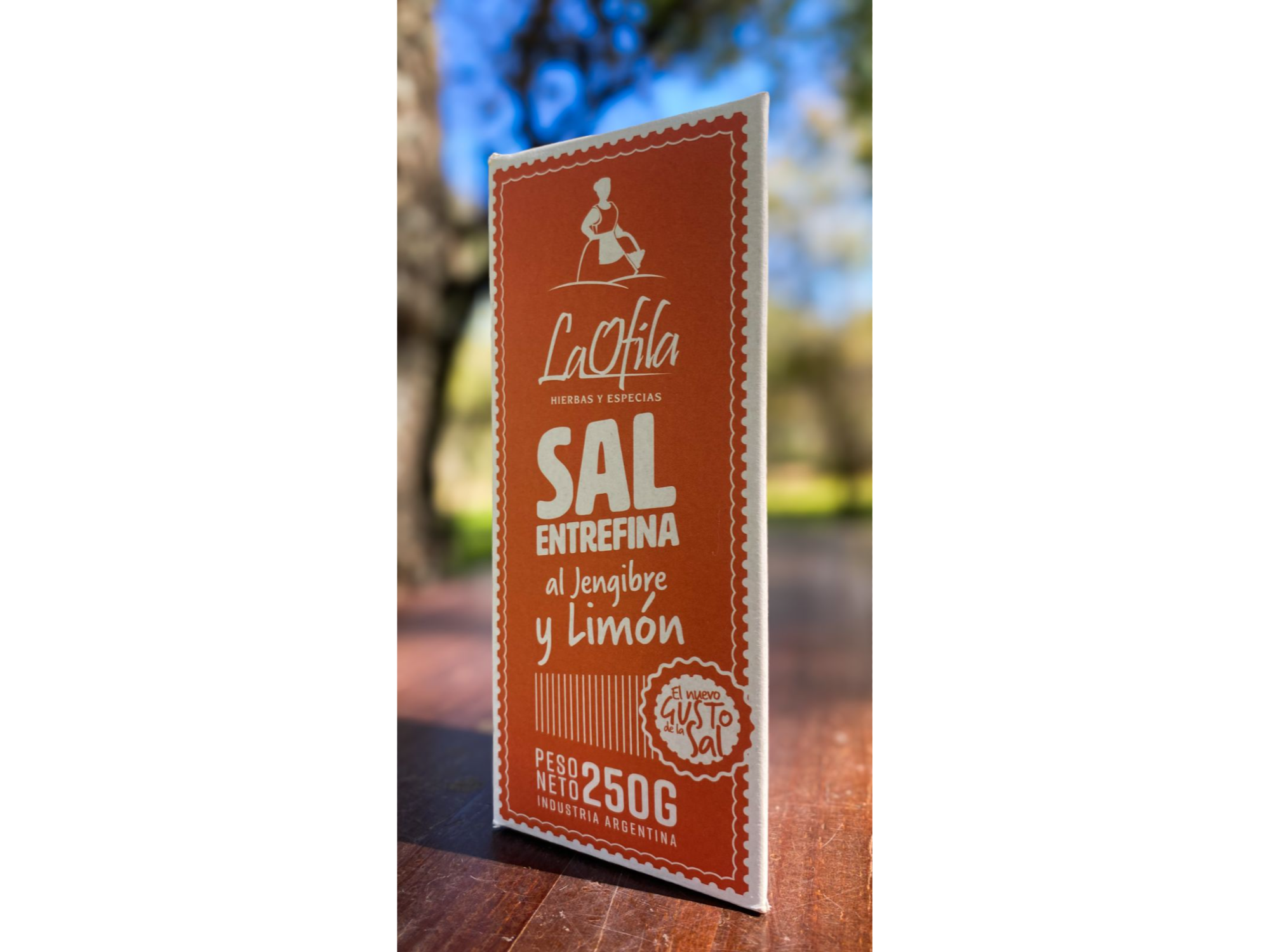 Sal entrefina al jengibre y limón #05 x 250 grs La Ofila