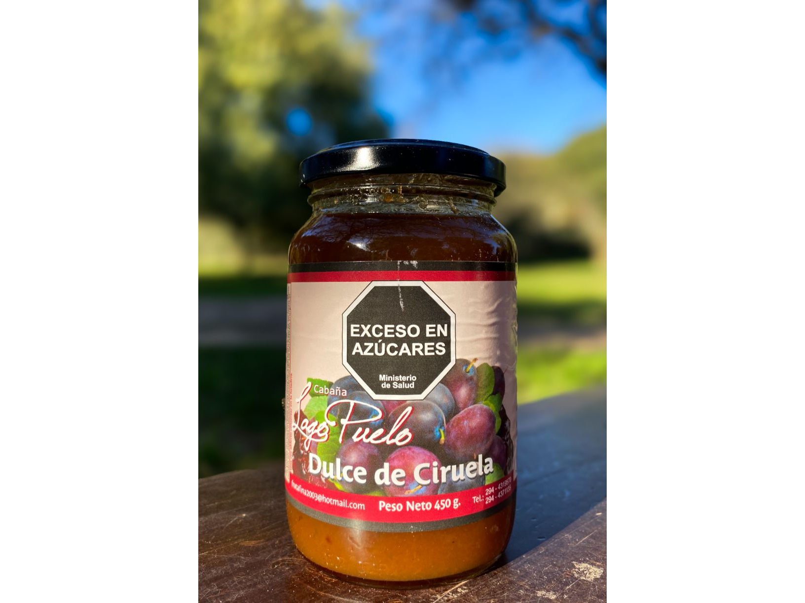 Dulce de ciruela x 450 grs Cabaña Lago Puelo