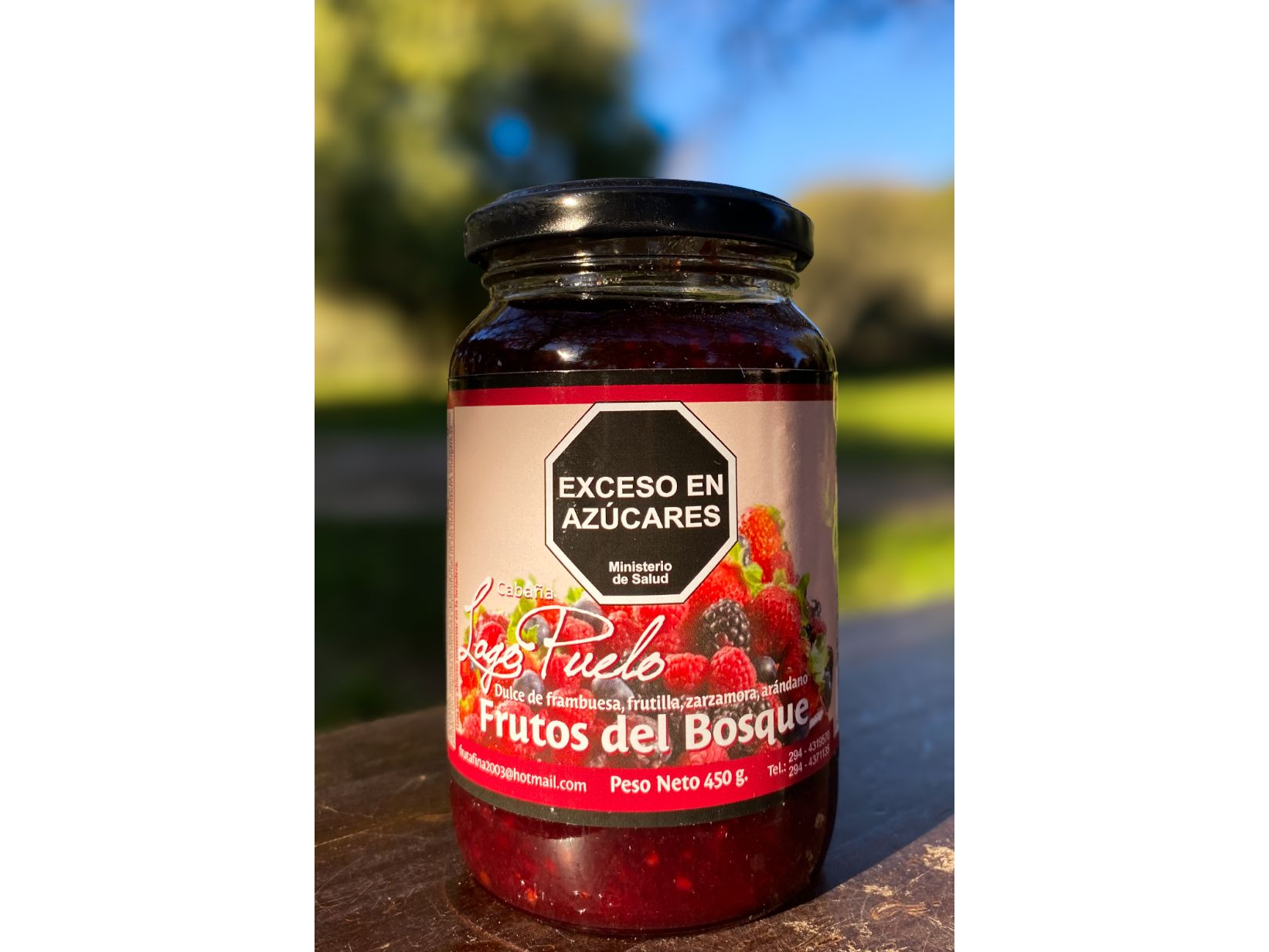 Dulce de frutos del bosque x 450 grs Cabaña Lago Puelo