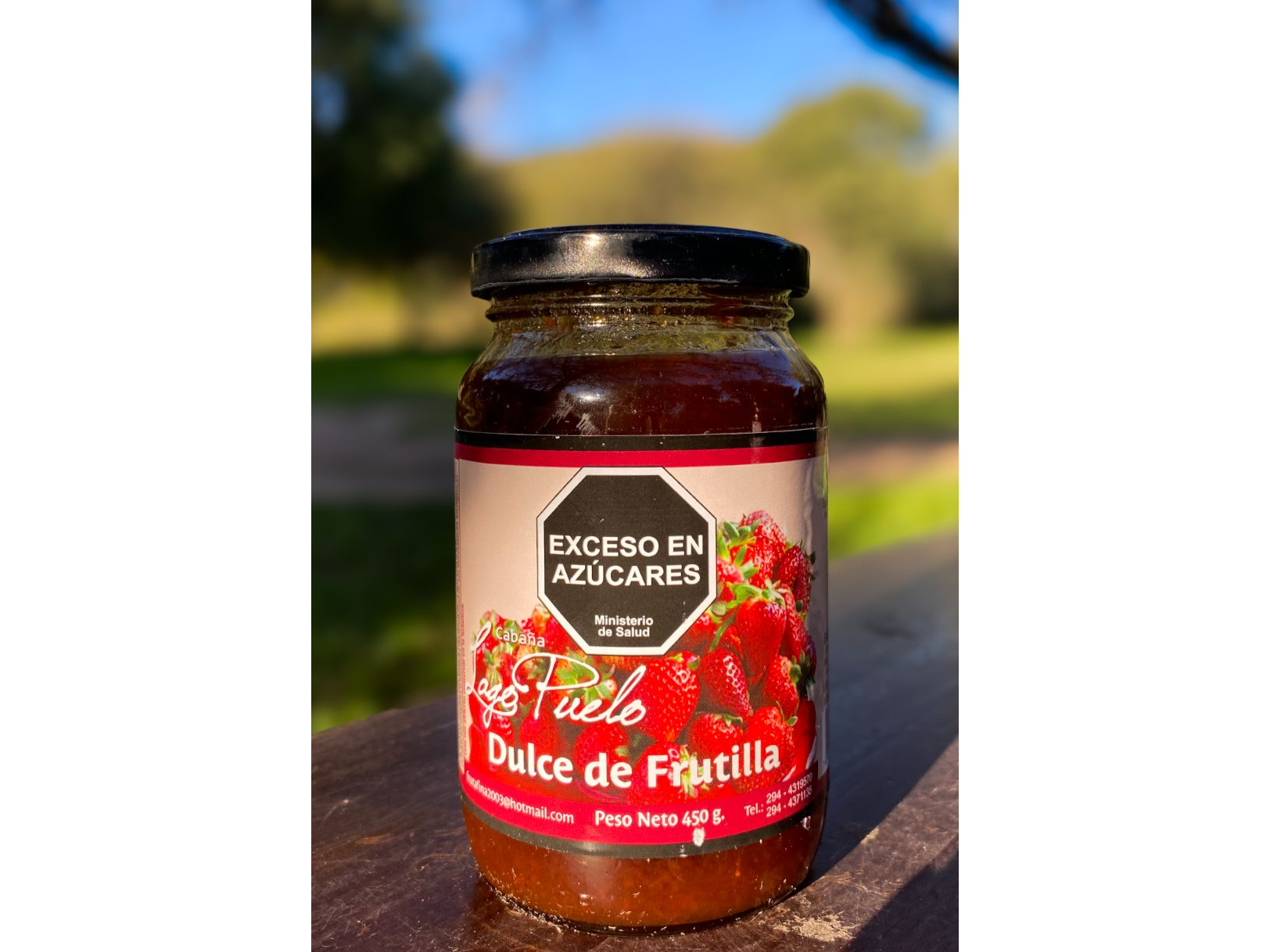 Dulce de frutilla x 450 grs Cabaña Lago Puelo
