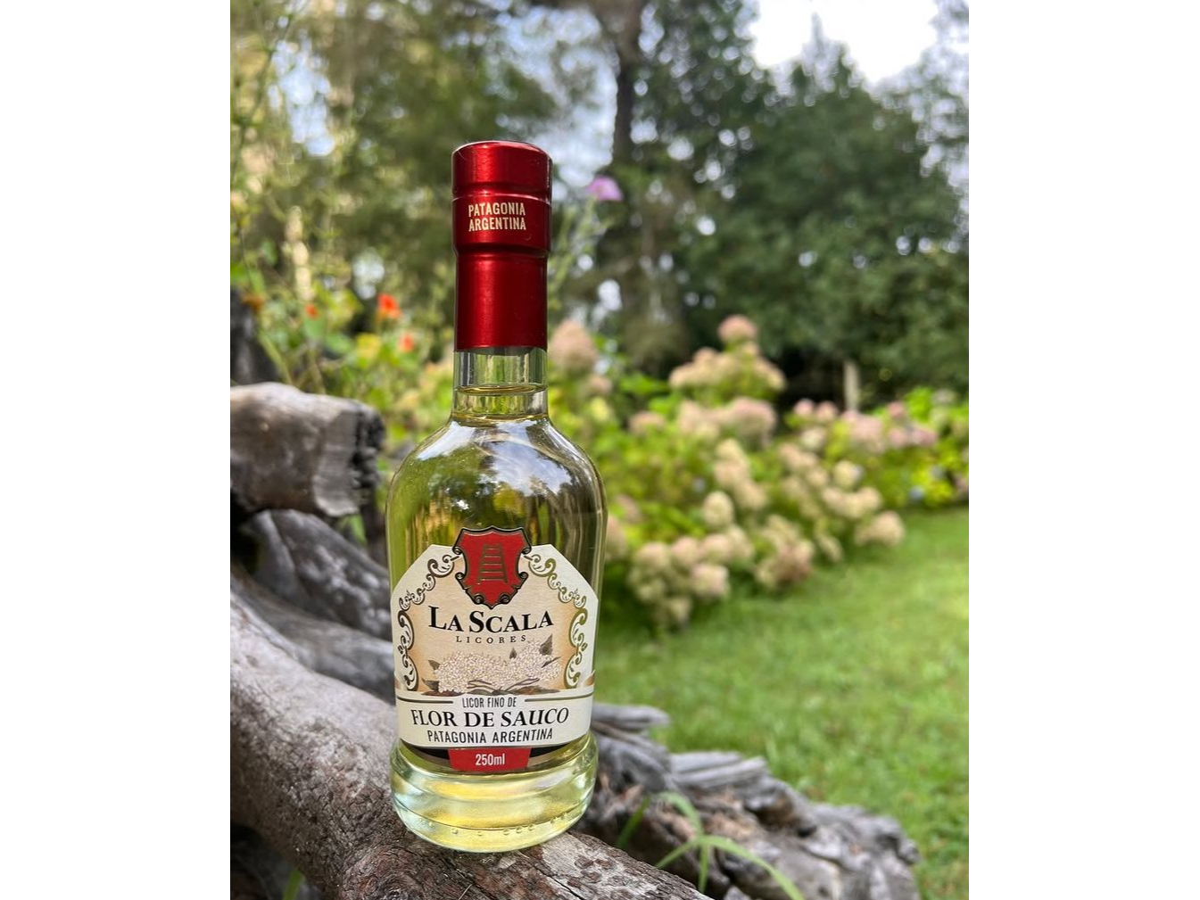 Licor de flor de sauco x 250 ml con vasito La Scala