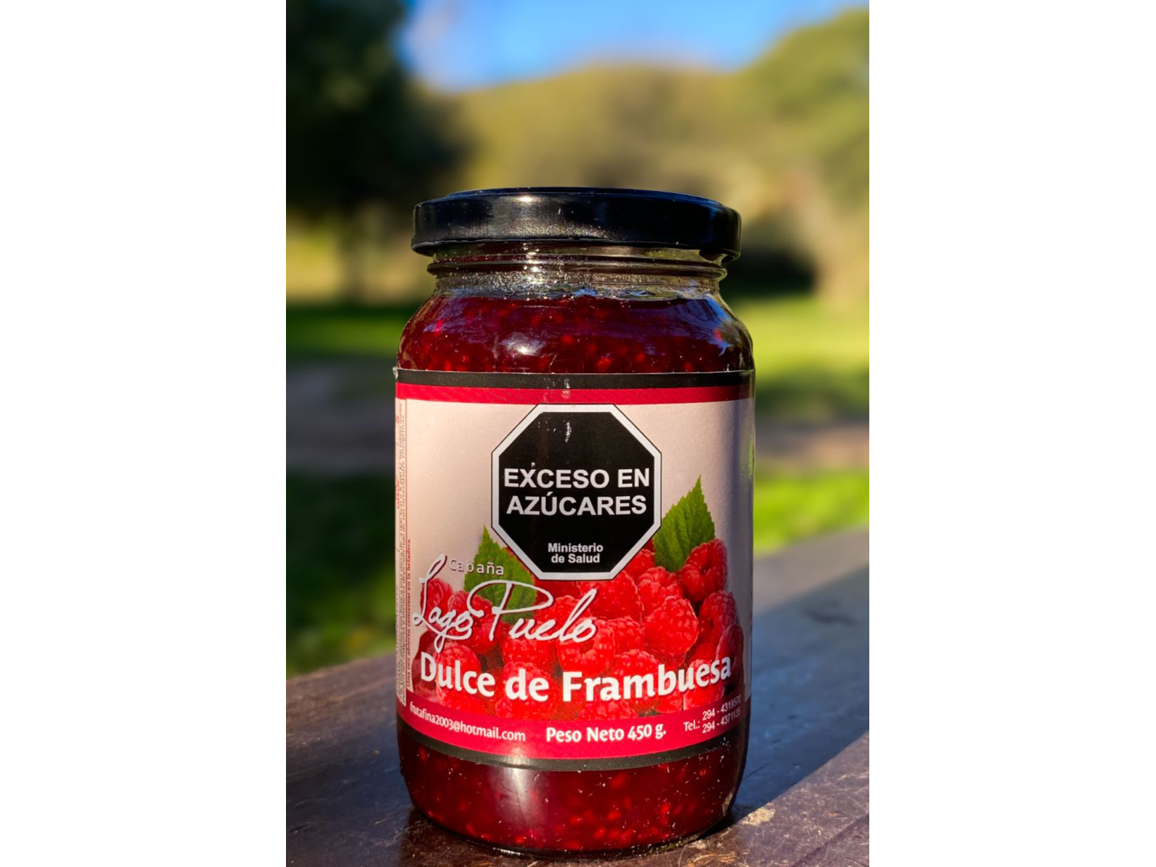 Dulce de frambuesa x 450 grs Cabaña Lago Puelo