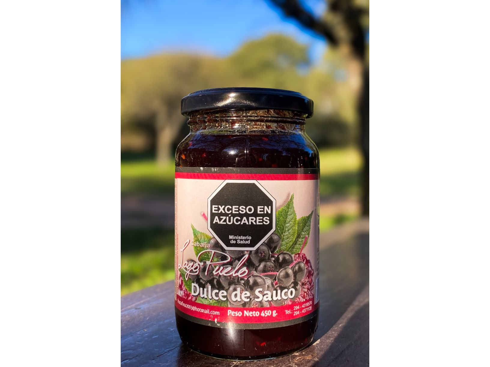Dulce de sauco x 450 grs Cabaña Lago Puelo
