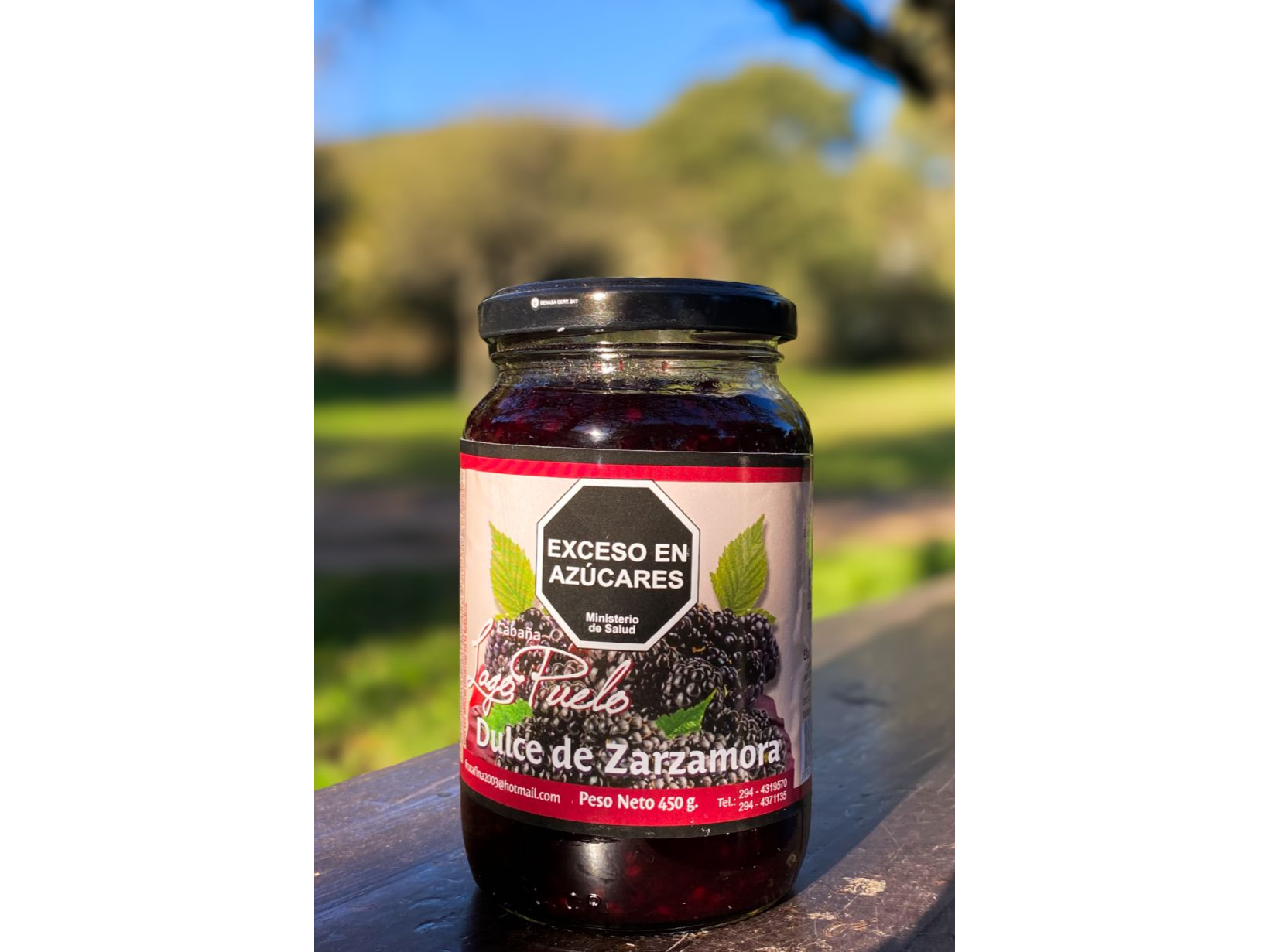 Dulce de zarzamora x 450 grs Cabaña Lago Puelo