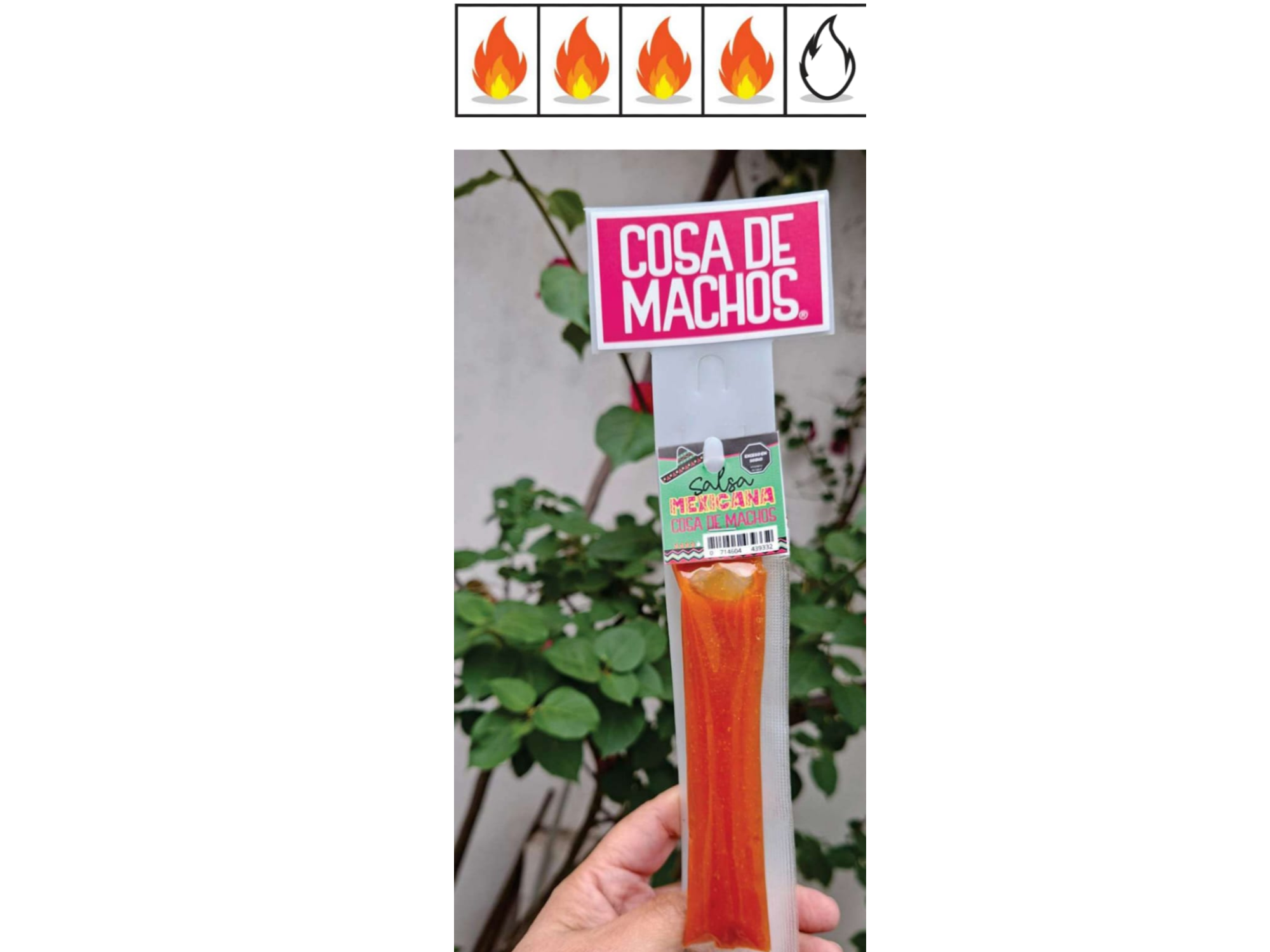 Impulsivo Salsa Mexicana 12 x 30g. Cosa de machos-Salta