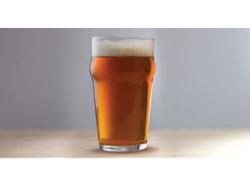PINTA IPA