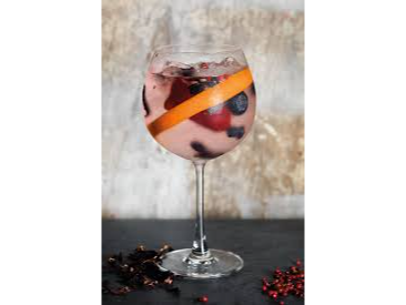 GIN TONIC RAICES