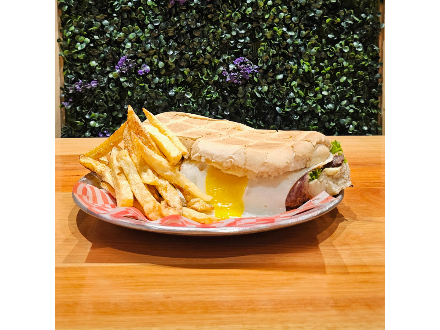 NUEVO Lomo De la casa