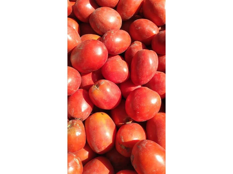 tomate perita chico 2KILO