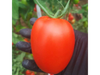 tomate perita gran 2kg