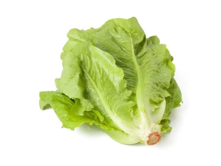 lechuga manteca