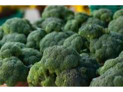 Brocoli 2uni