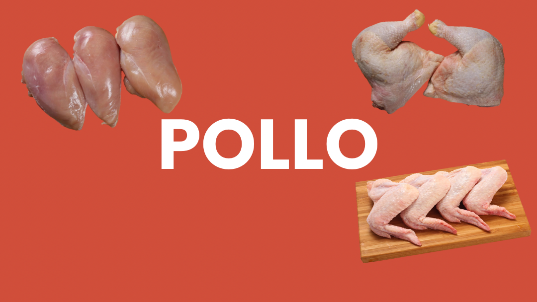 Pollo 🍗