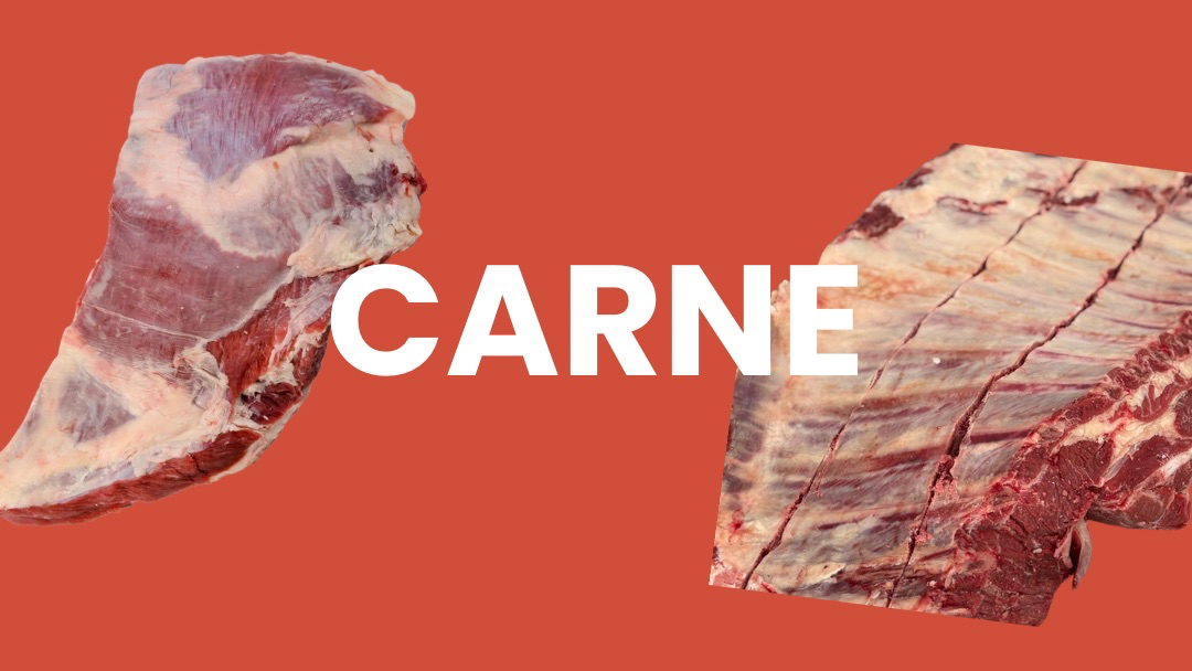 Carne 🥩