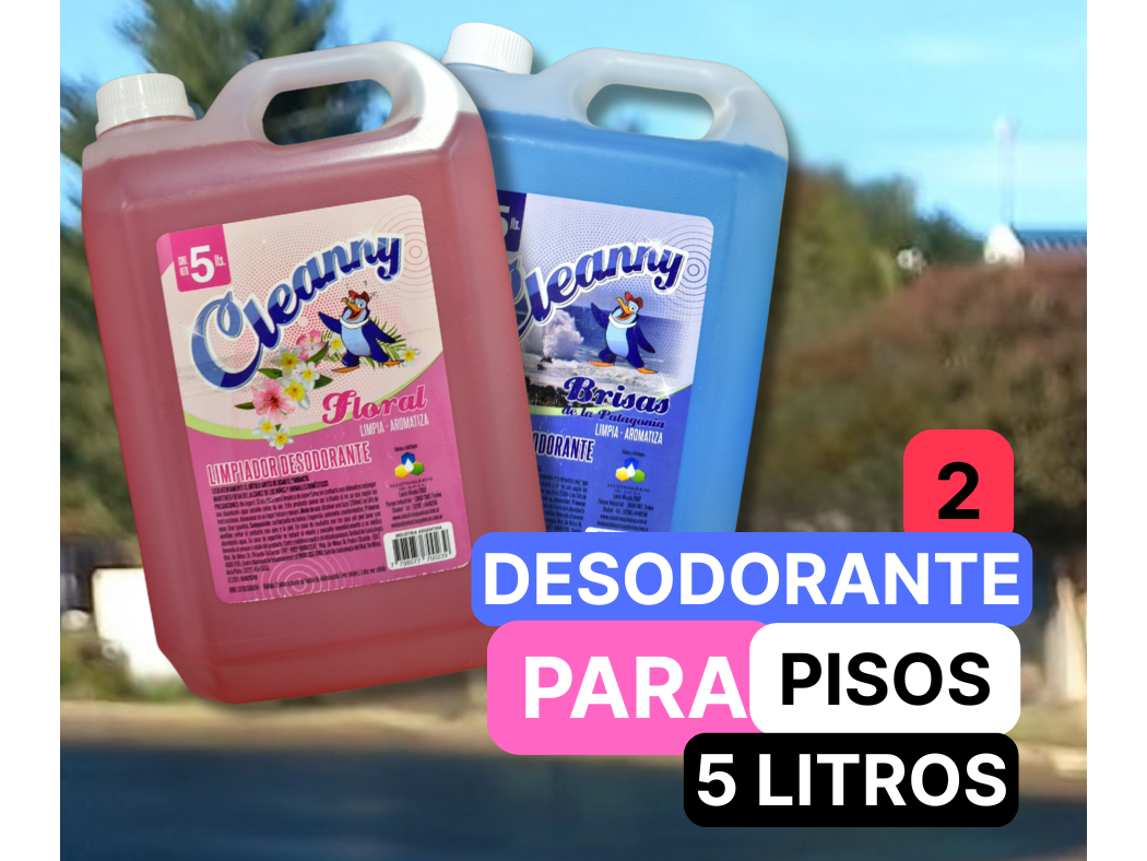 Desodorante de pisos 5L X 2U