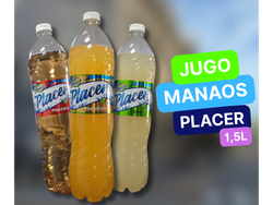 Jugo Manaos x2