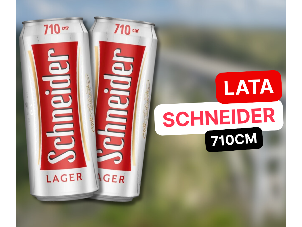 Schneider x2