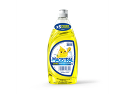 Detergente Magistral 300ml