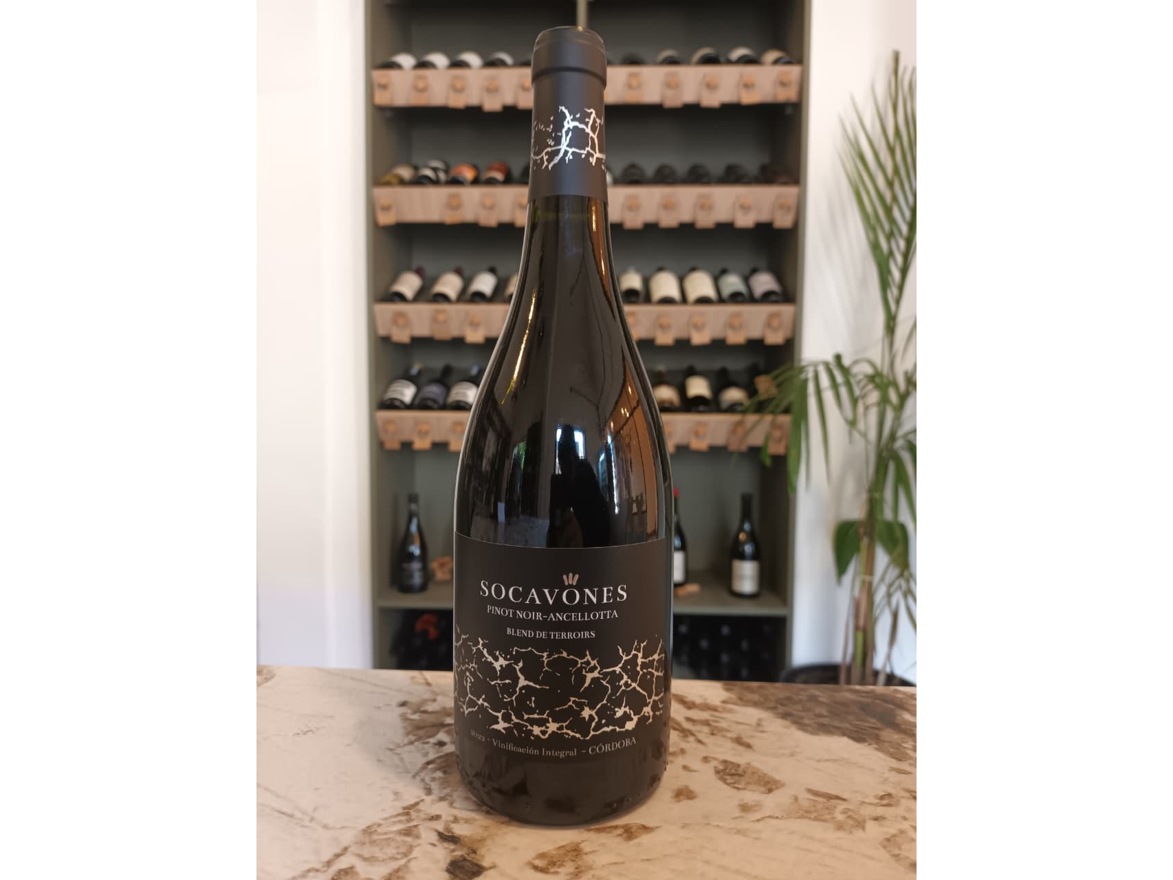 Socavones (Pinot noir - Acellotta)