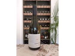 Punto Final (Trebbiano - Chardonnay - Sauv. Blanc)
