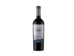 1300 Andeluna
