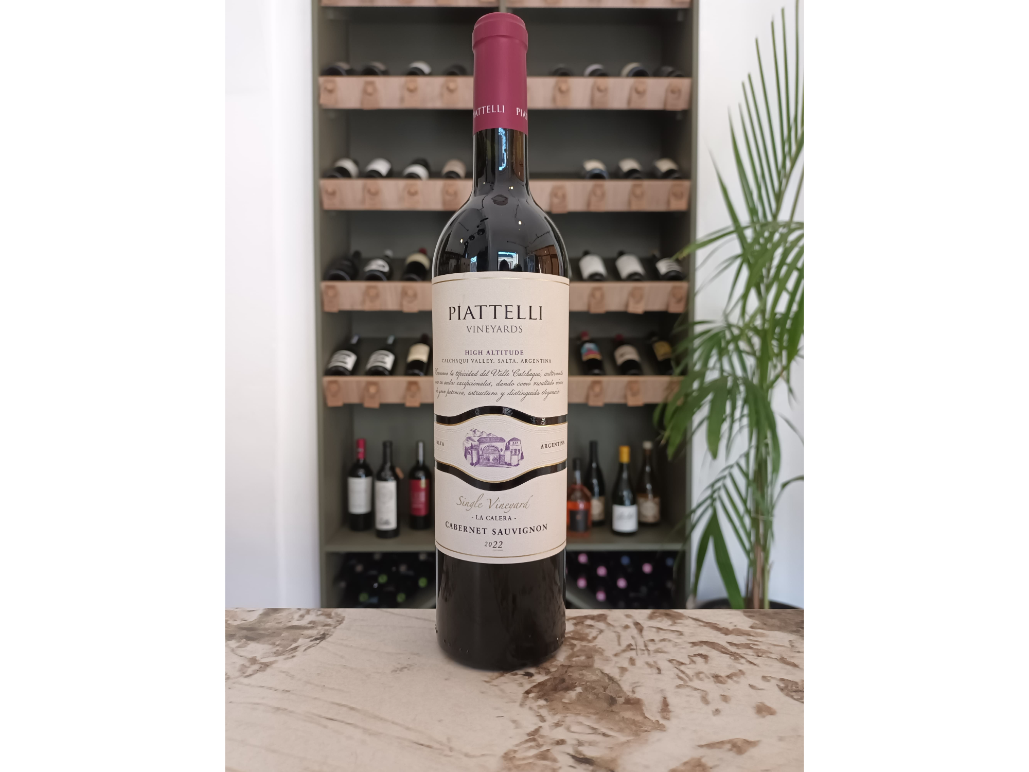 Piattelli Single V Salta
