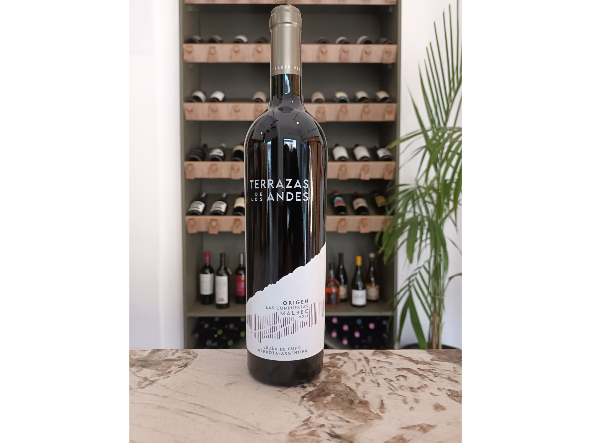 Terraza de los Andes - Origen las Compuertas