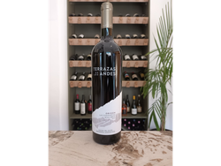 Terraza de los Andes - Origen las Compuertas