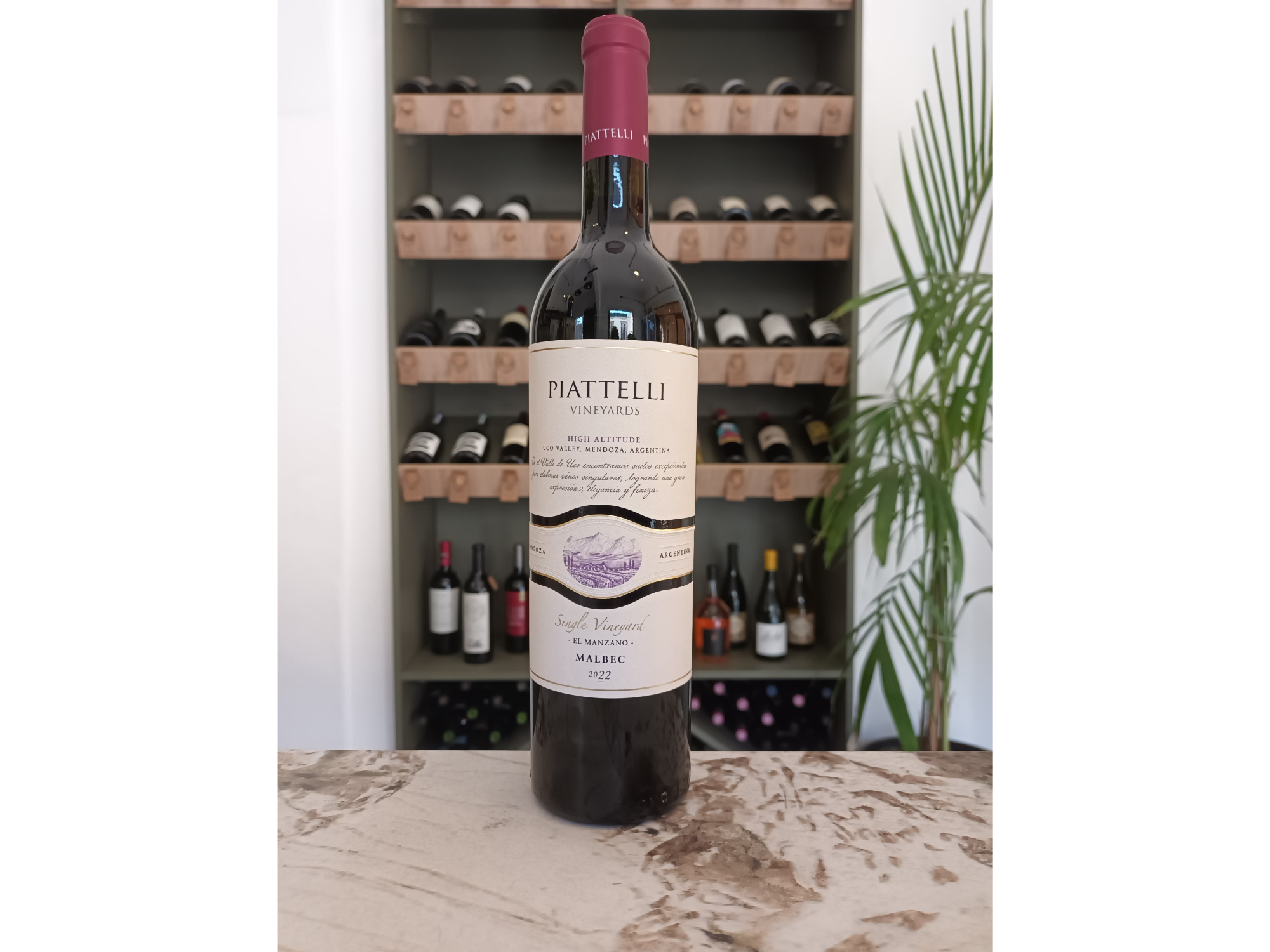 Piattelli Single V Mendoza