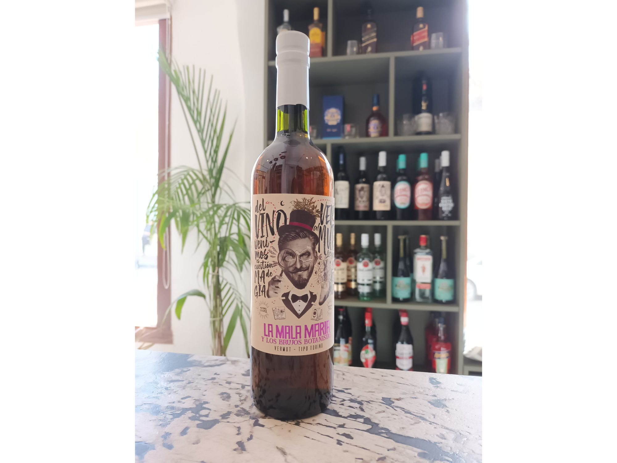 La Mala Maria tipo italiano