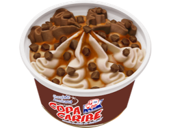 Copa Caribe de Chocolate SIN TACC